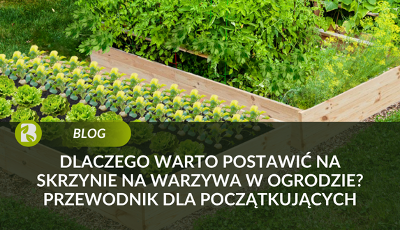 Dlaczego warto postawić na skrzynie na warzywa w ogrodzie? Przewodnik dla początkujących