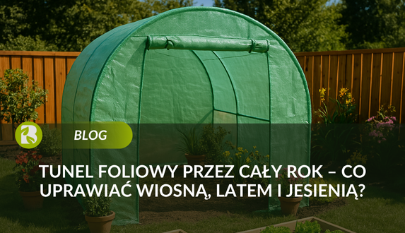 Tunel foliowy przez cały rok – co uprawiać wiosną, latem i jesienią?